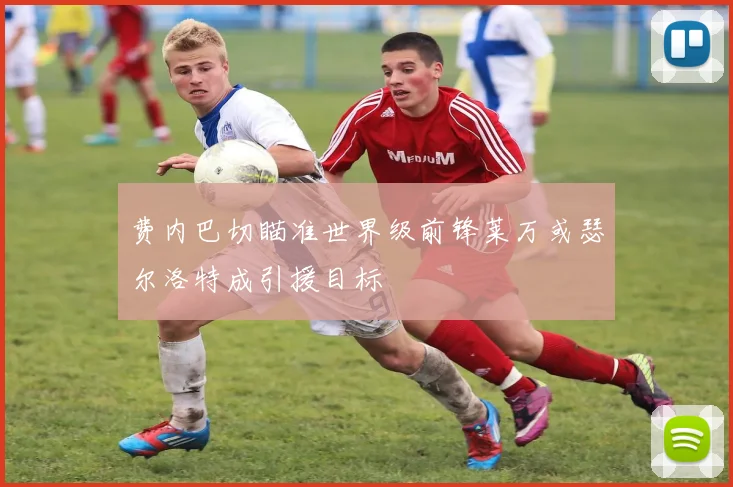 费内巴切瞄准世界级前锋莱万或瑟尔洛特成引援目标